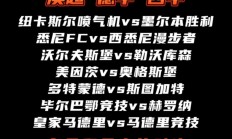 开云体育app-沃尔夫斯堡锋线火力猛涨，取得连胜的简单介绍