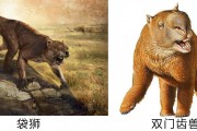 开云体育app-塔斯马尼亚联调整后防线，迎战欧洲豪门难度加大(塔斯马尼亚怎么样)