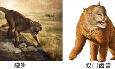 开云体育app-塔斯马尼亚联调整后防线，迎战欧洲豪门难度加大(塔斯马尼亚怎么样)