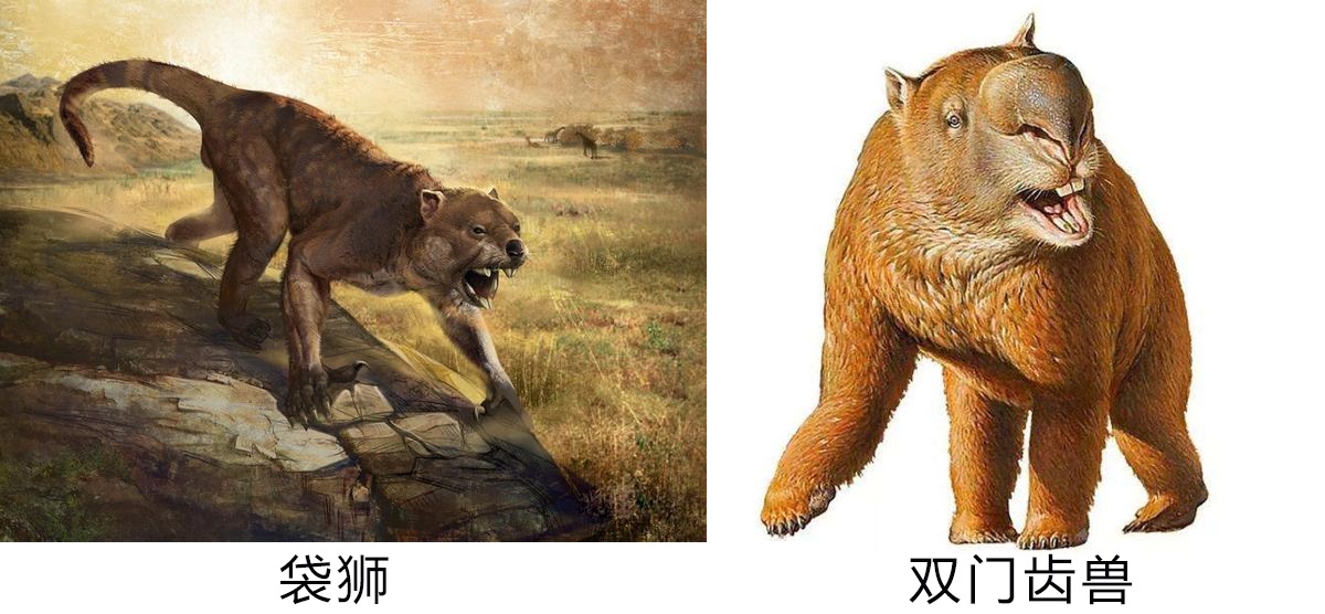 塔斯马尼亚联调整后防线，迎战欧洲豪门难度加大(塔斯马尼亚怎么样)