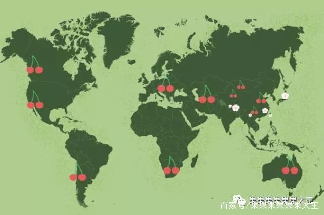 塔斯马尼亚联球迷现场助威，球队斗志昂扬的简单介绍