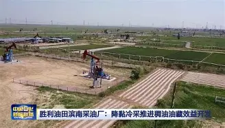 薄饼联动大胜，开启胜利的序曲！(姜饼人王国联动饼干)